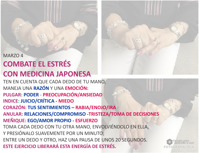 Combate el estrés con medicina japonesa
